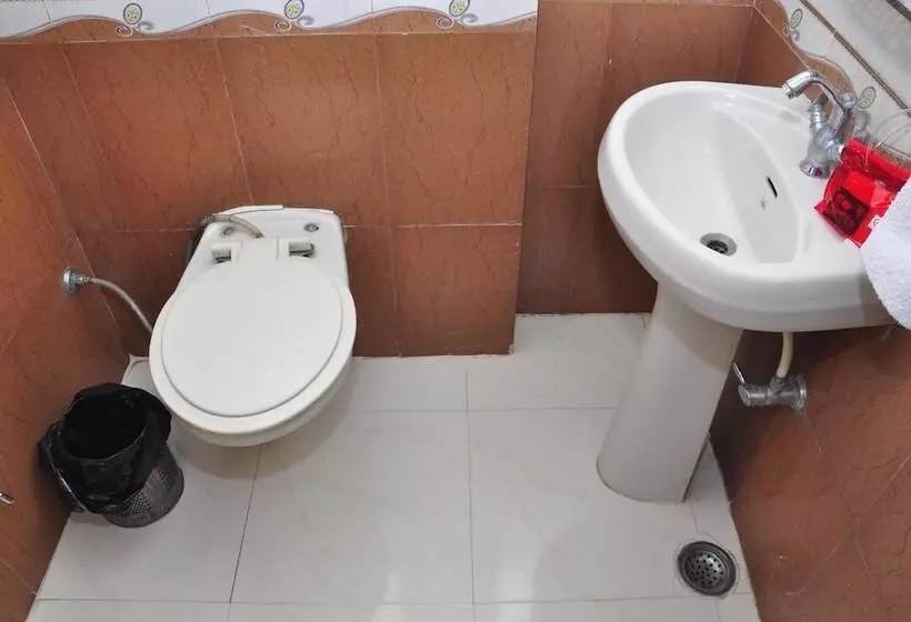 Отель Oyo Rooms Regent Cinema Chowk