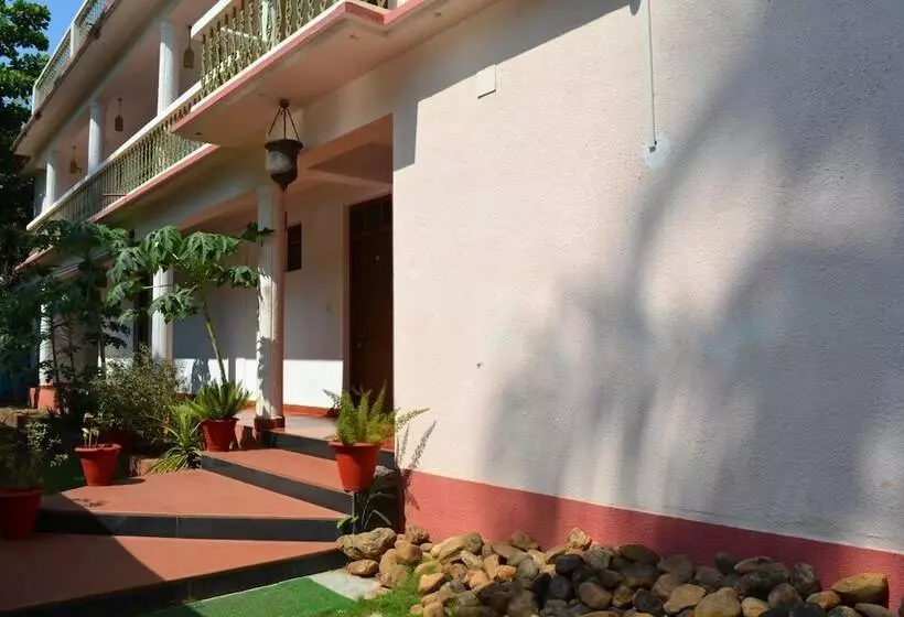 Pension (Hôtel basse catégorie) Pebbles Guesthouse