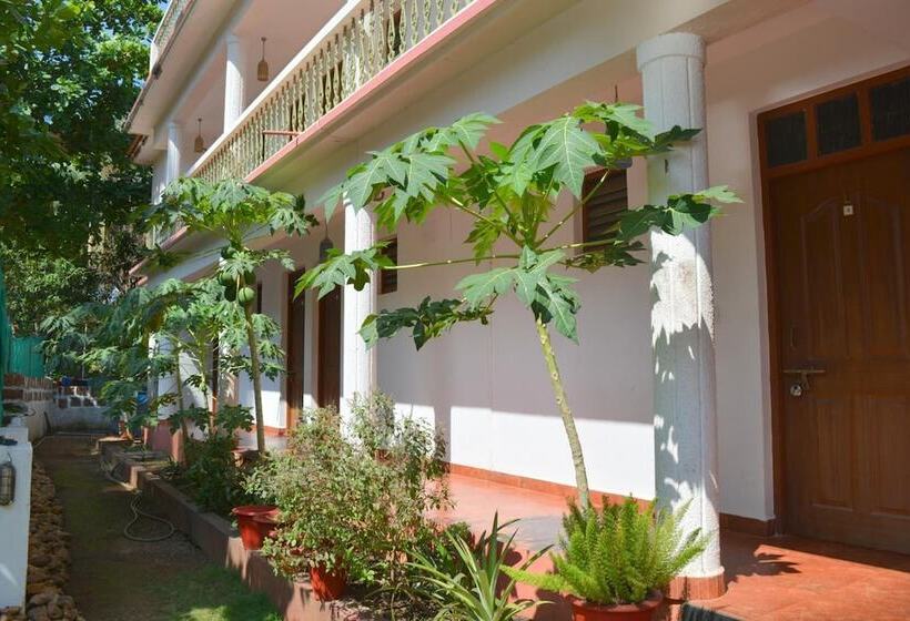 פנסיון Pebbles Guesthouse