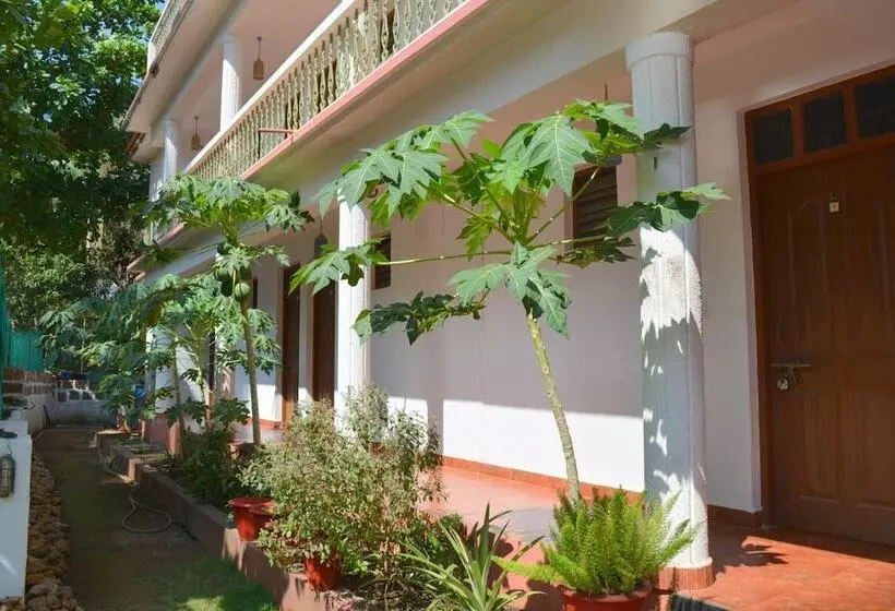 Pension (Hôtel basse catégorie) Pebbles Guesthouse