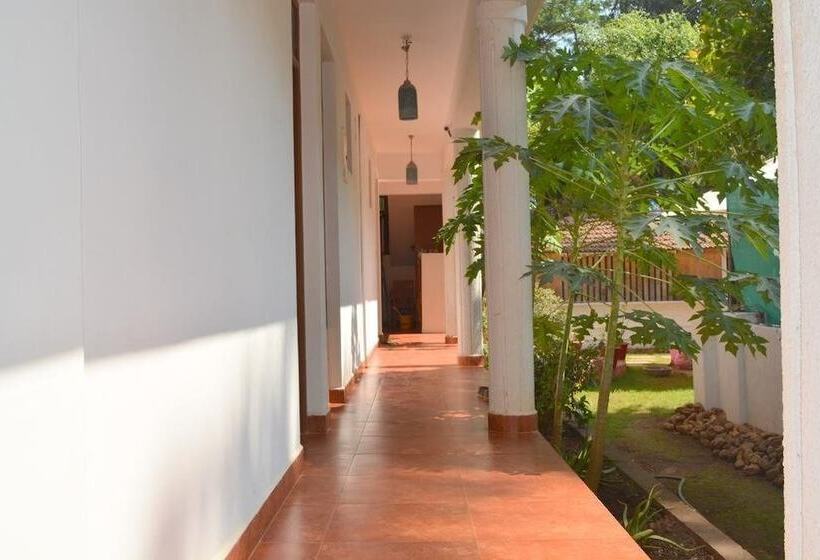 פנסיון Pebbles Guesthouse