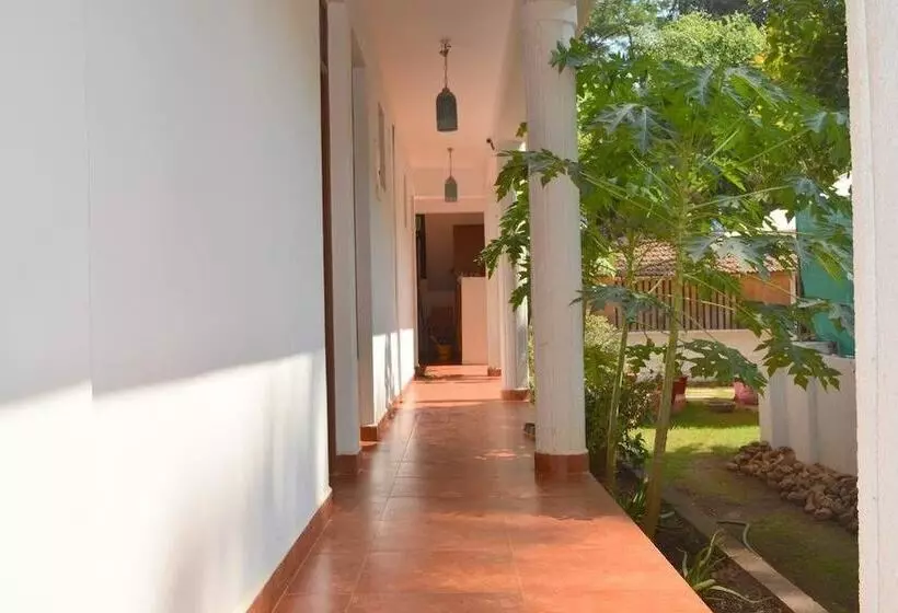 Pension (Hôtel basse catégorie) Pebbles Guesthouse