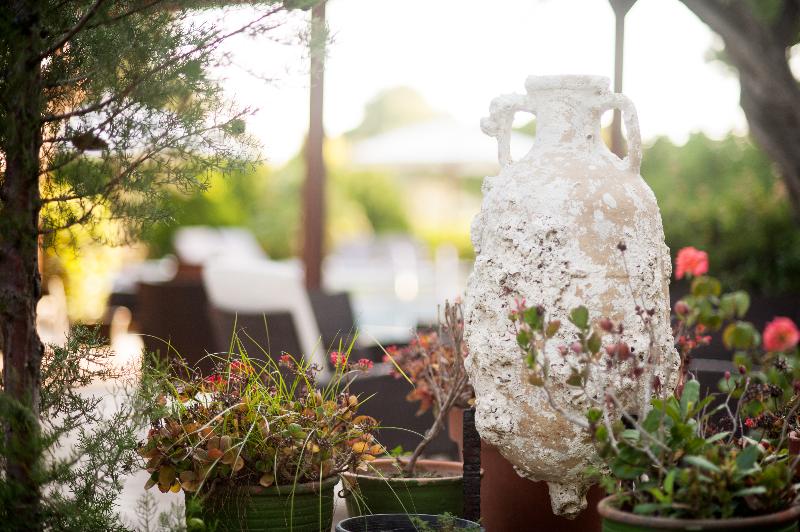 Terinikos Sunny Garden Hotel Junior Suites