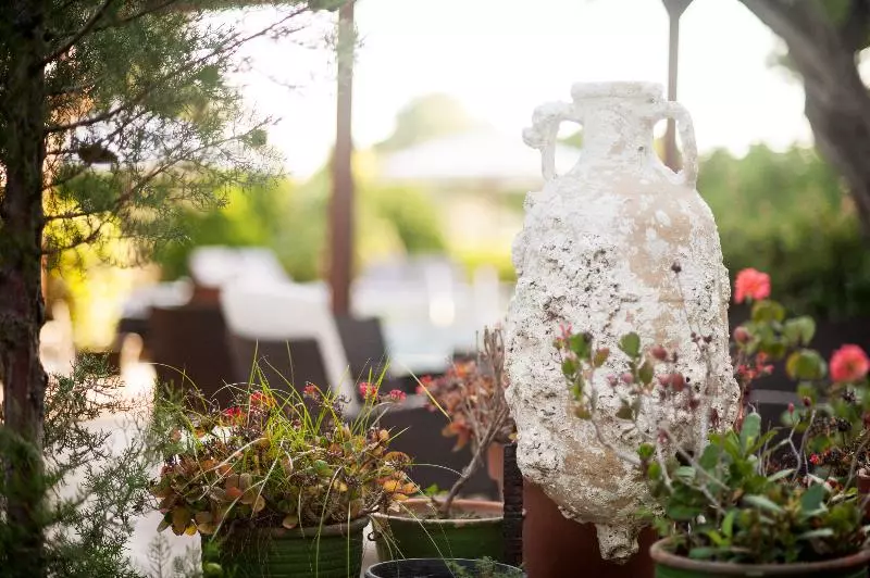 Terinikos Sunny Garden Hotel Junior Suites