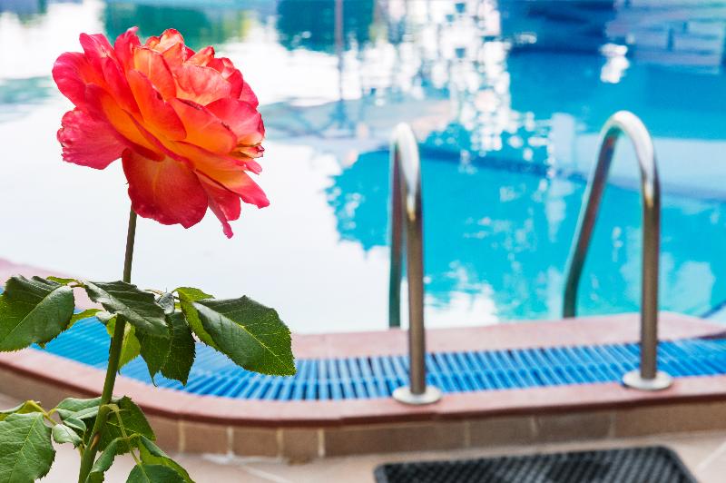 Terinikos Sunny Garden Hotel Junior Suites