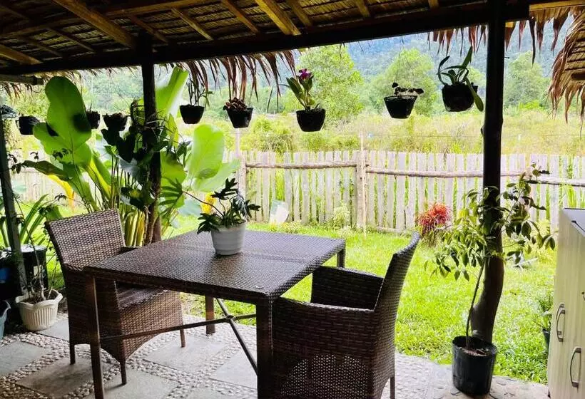 ペンション La Palapa Inn Port Barton