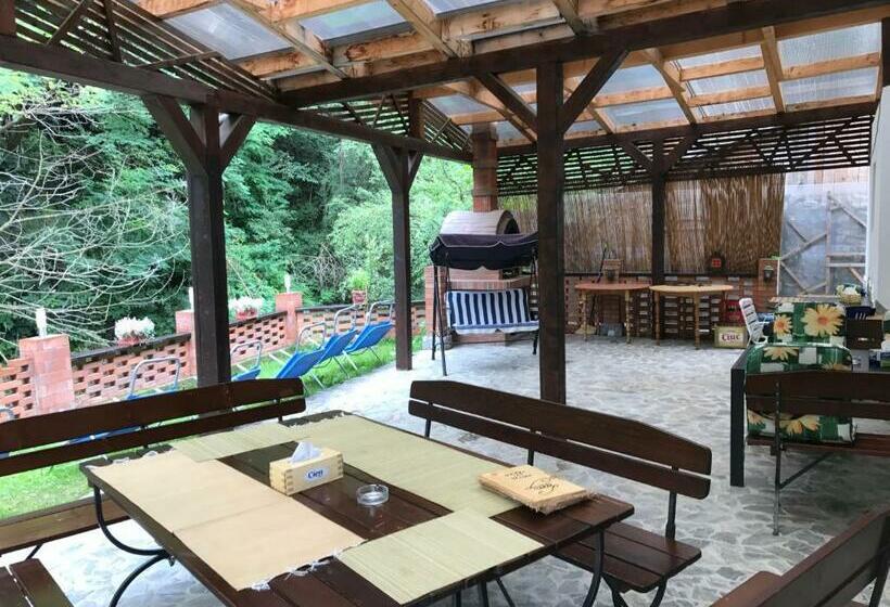 Pensjonat Hanul Lui Traian