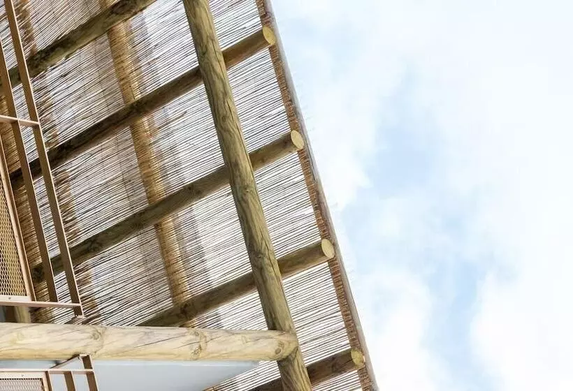 Dina Morgabine Saint Gilles