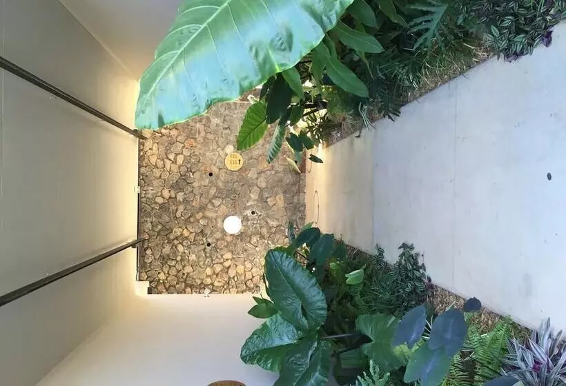 Dina Morgabine Saint Gilles