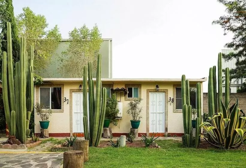 簡易ホテル Meson Del Rio Posada Mexiquense