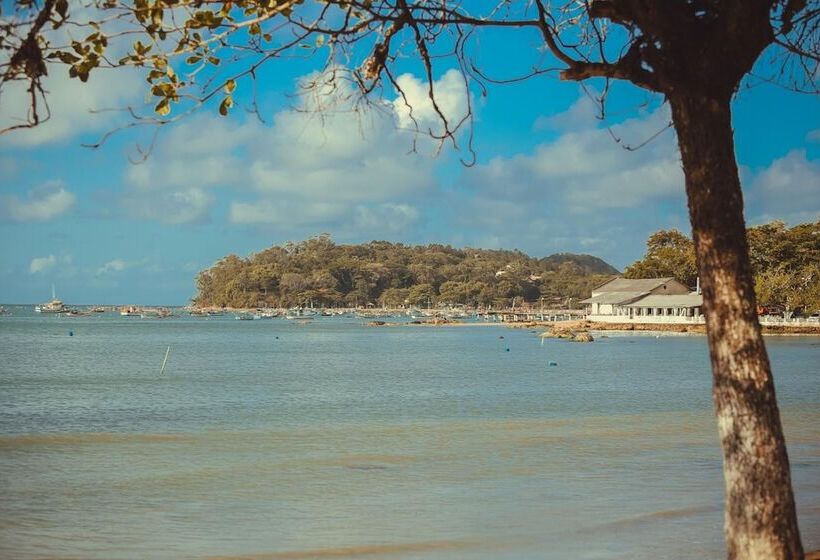 בית מלון כפרי Açoriano