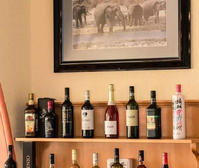 ホテル African Safari Lodge