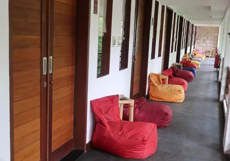 호텔 Dream Divers Resort