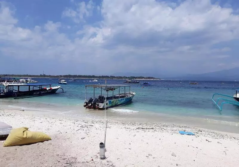 호텔 Dream Divers Resort