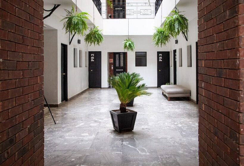 Отель Florida, Centro Histórico