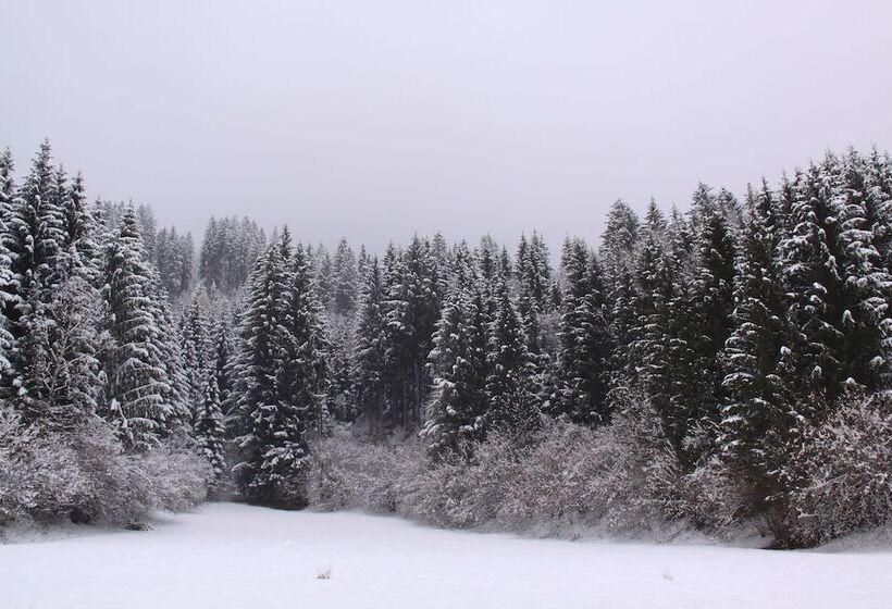 בית מלון כפרי Sonnleitn