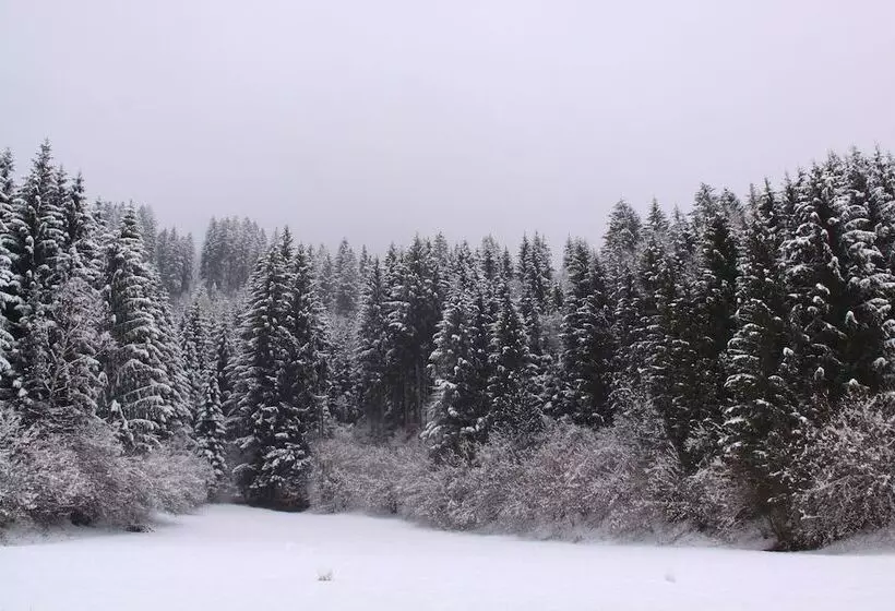 בית מלון כפרי Sonnleitn