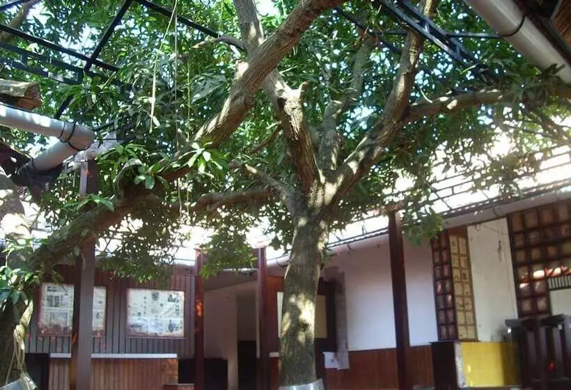 Hotel Treebo Backpackers Inn