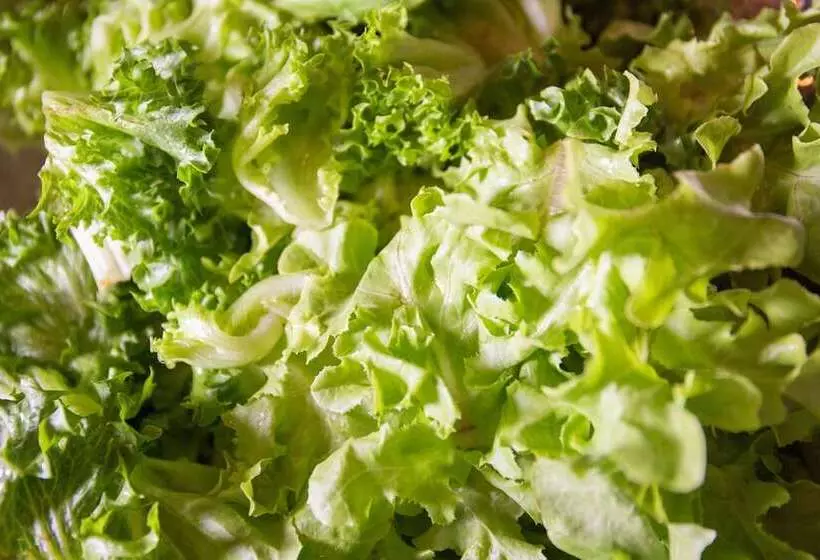 هتل Avani Plus Riverside Bangkok