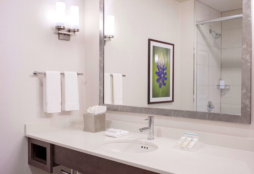 בית מלון כפרי Hilton Garden Inn Downtown Dallas