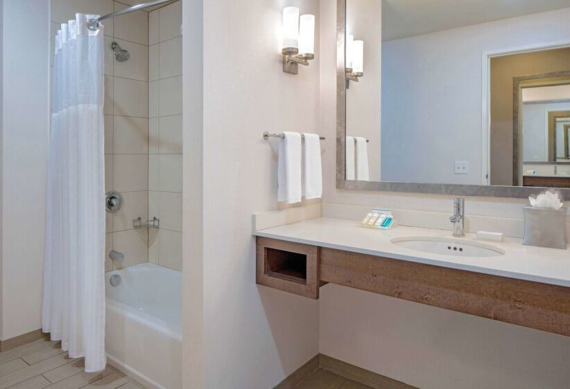 בית מלון כפרי Hilton Garden Inn Downtown Dallas