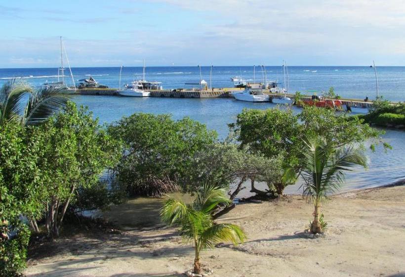 فندق Porto Coral