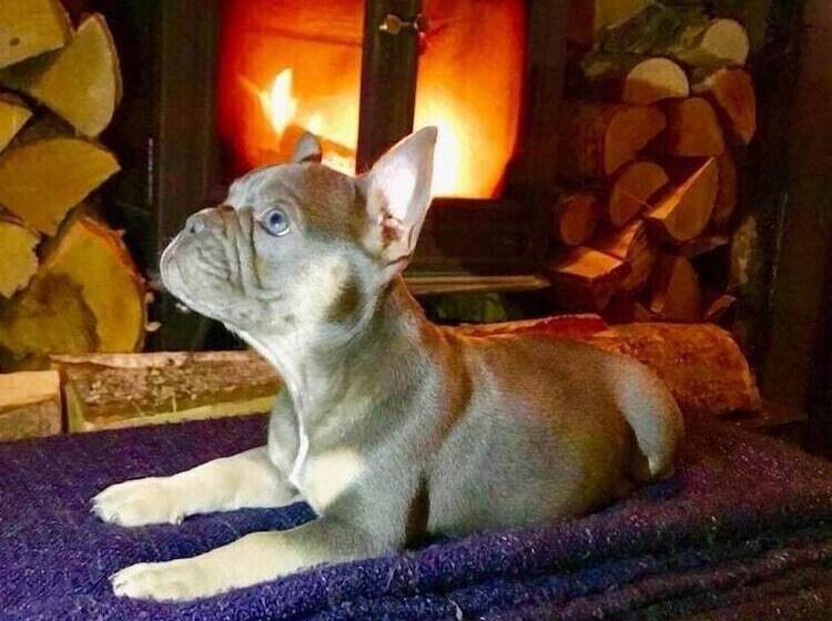 ホテル The Assheton Arms