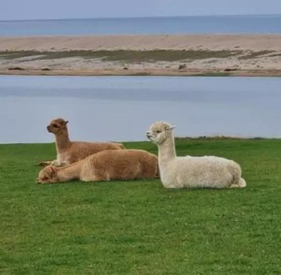 Pensjonat Swallows Rest