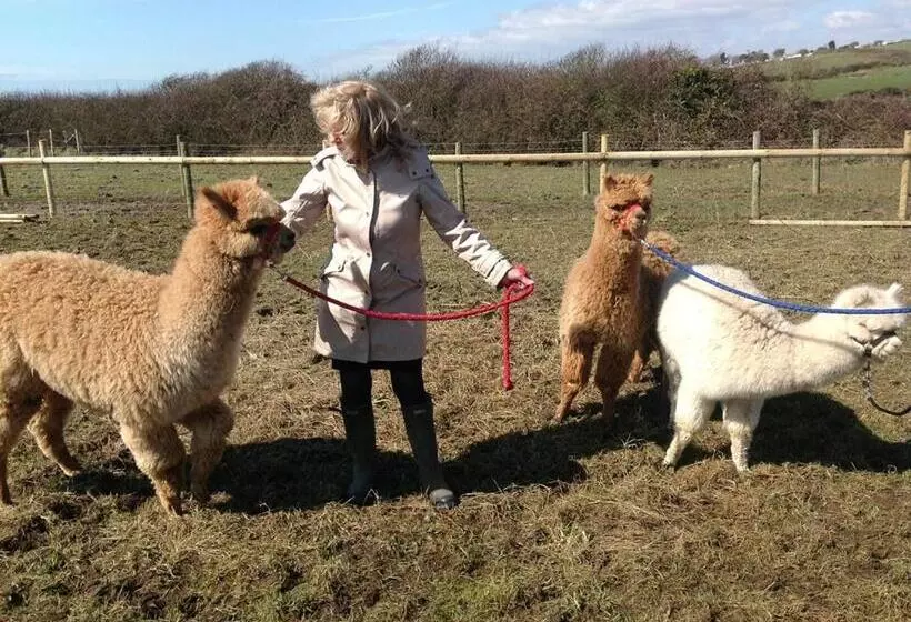 Pensjonat Swallows Rest
