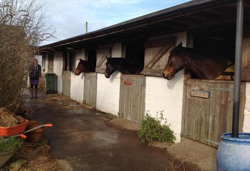 Пансион Swallows Rest