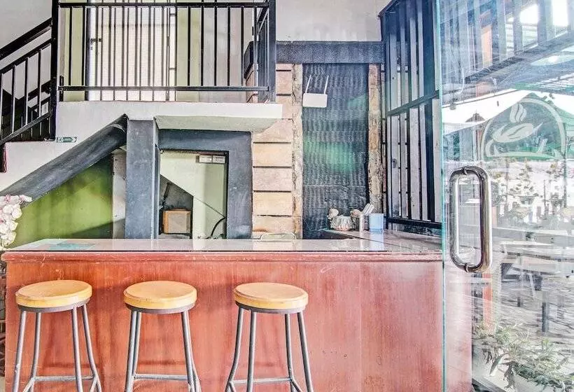 Hotelli Spot On 92052 Aulya Homestay Syariah Near Tuanku Tambusai Stadium