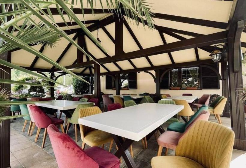 Pensiunea Adolescenta