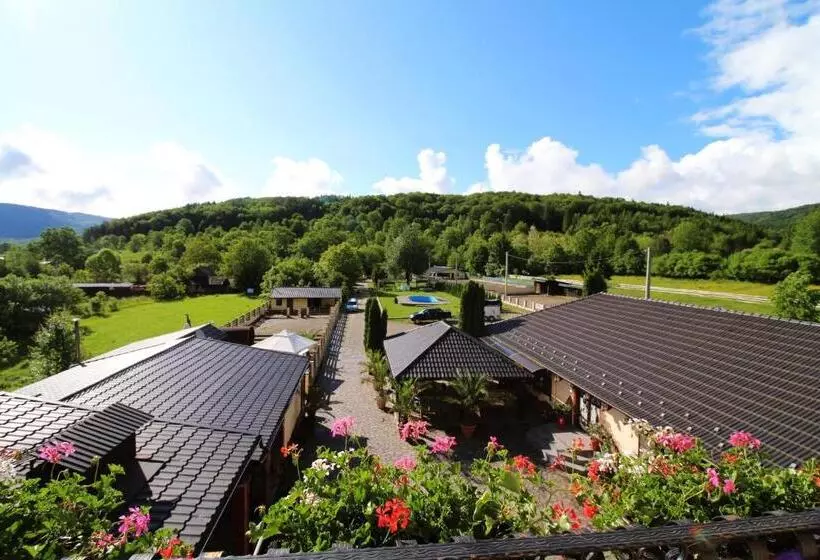 Pensiunea Adolescenta