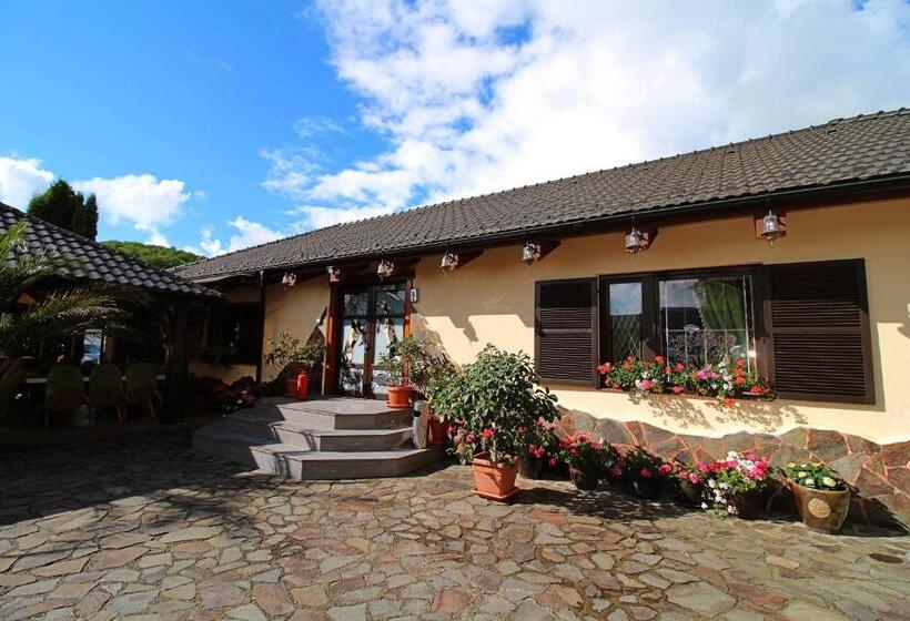 Pensiunea Adolescenta