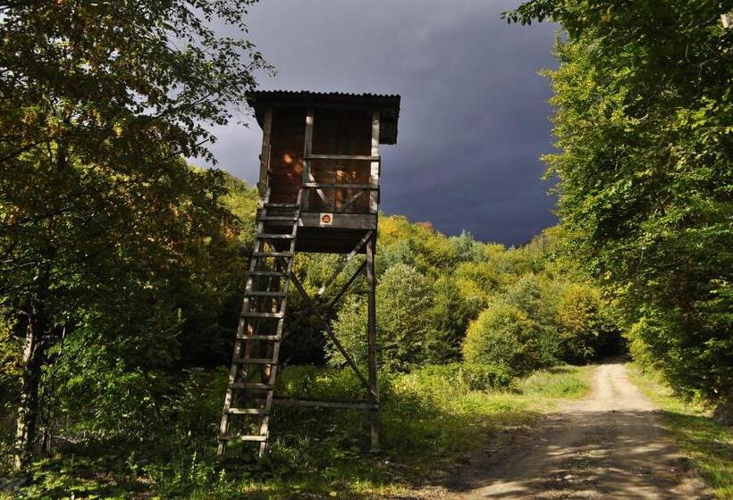 Pensiunea Adolescenta