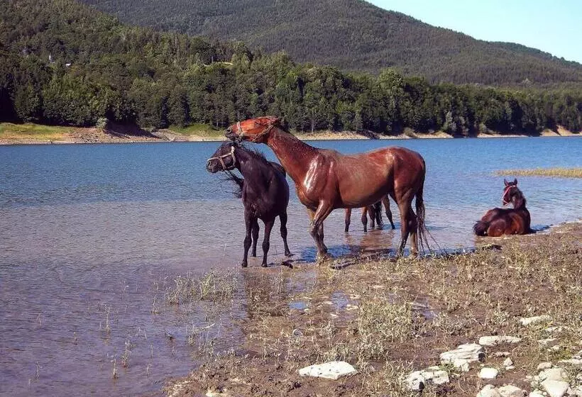 Pensiunea Adolescenta