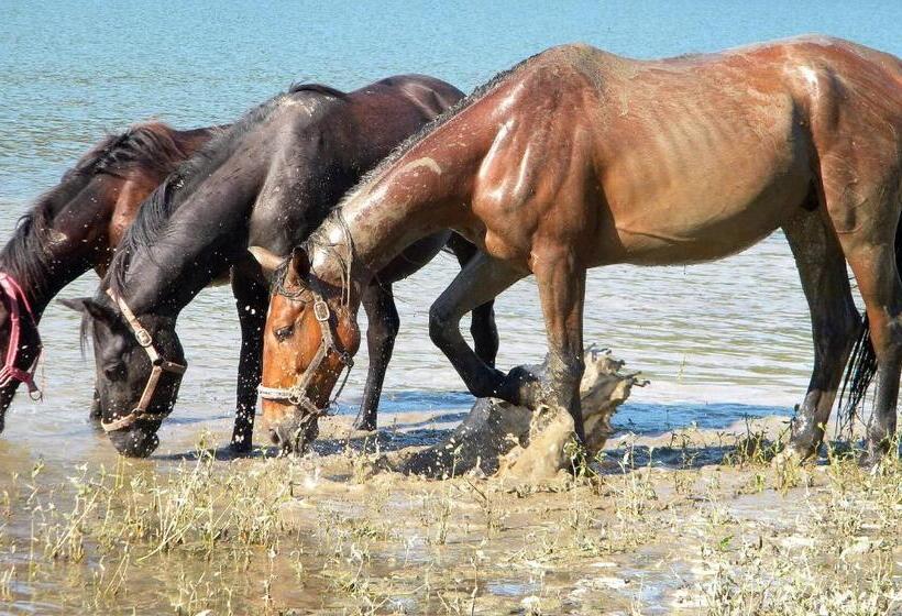 Pensiunea Adolescenta