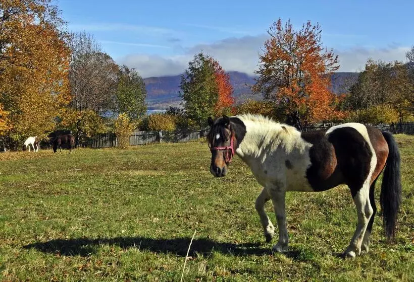 Pensiunea Adolescenta