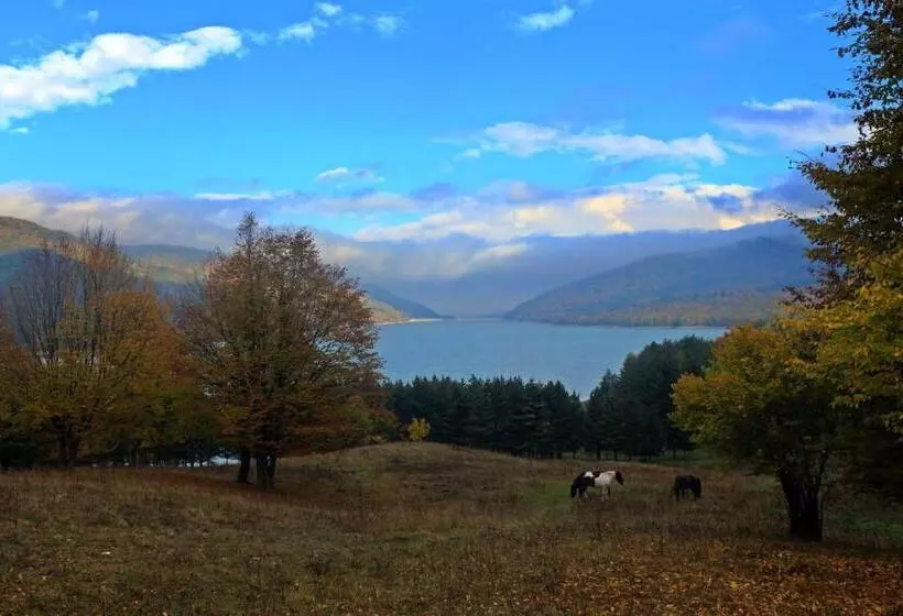 Pensiunea Adolescenta