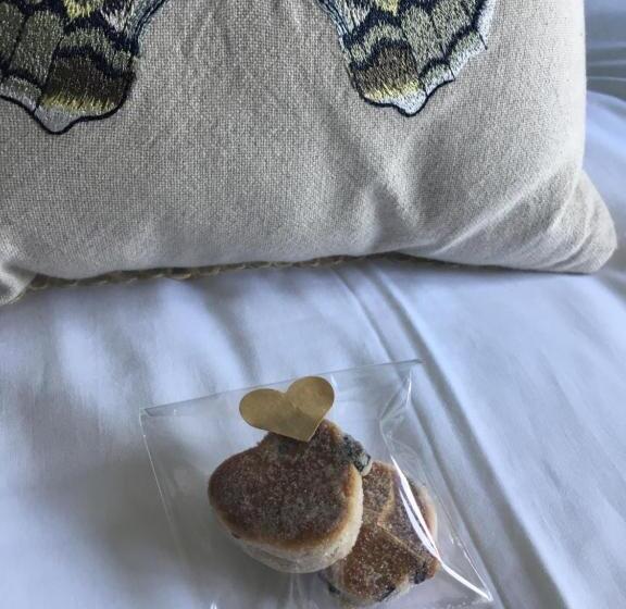 住宿加早餐  Gellihaf House