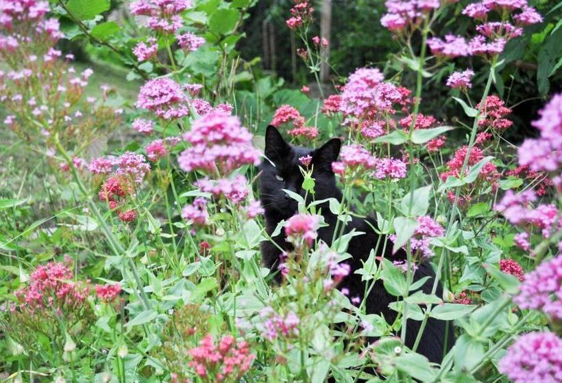 민박 Longbridge House