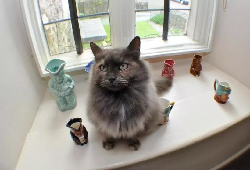 Bed and Breakfast Longbridge House