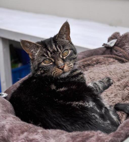 민박 Longbridge House