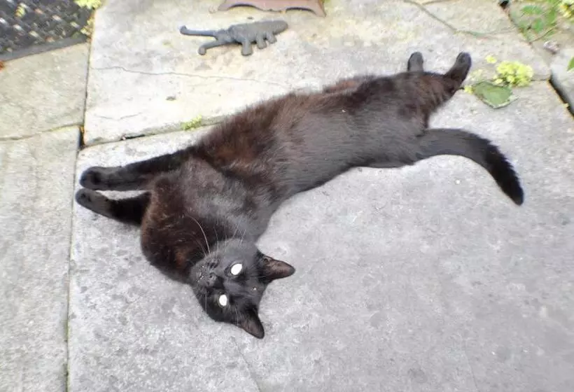 민박 Longbridge House