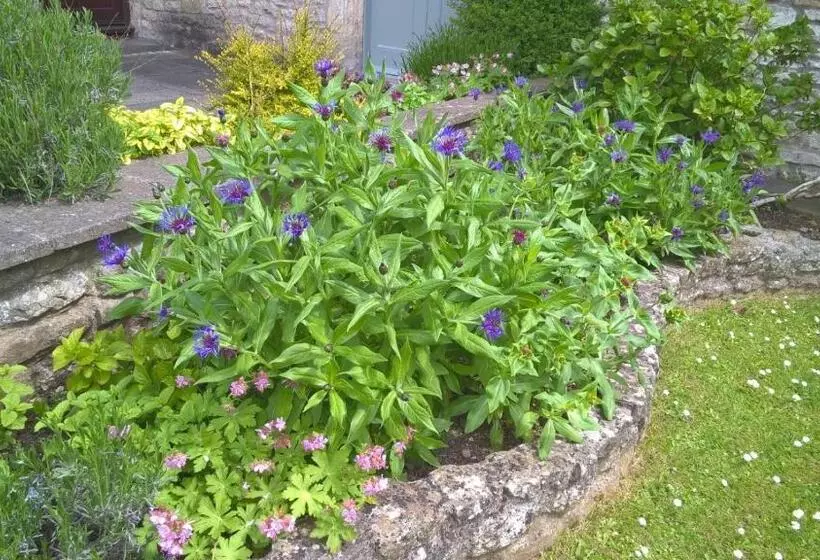 Bed and Breakfast Longbridge House