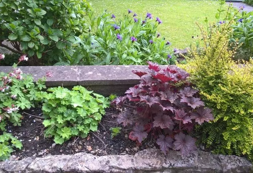 Bed and Breakfast Longbridge House