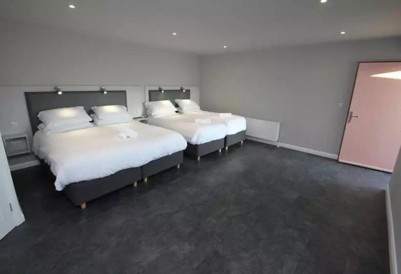 住宿加早餐  North Coast Motel