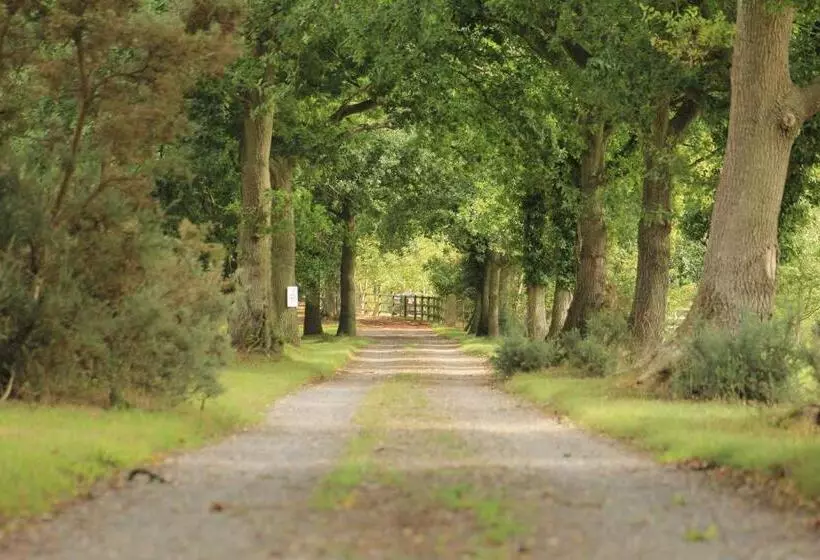 Aamiaismajoitus (B&B) Woodman S Farm