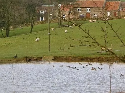 Grange Farm Cottages