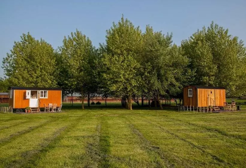 Отель Dawn Chorus Holidays